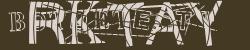 Enter Captcha