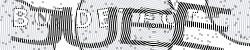 Enter Captcha