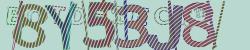 Enter Captcha