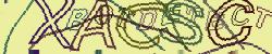 Enter Captcha