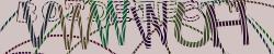 Enter Captcha